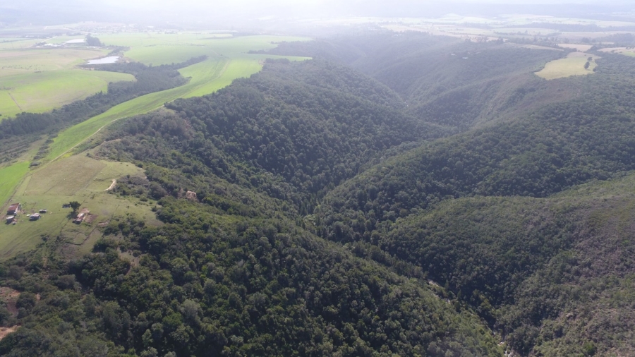  Bedroom Property for Sale in Knysna Rural Western Cape